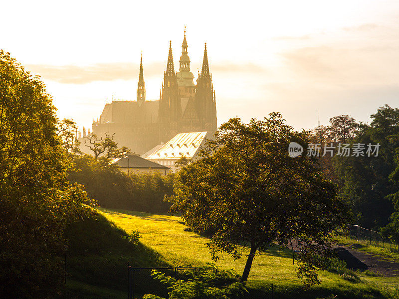 捷克共和国布拉格，赫拉德坎尼，圣维塔斯大教堂的锡拉古特