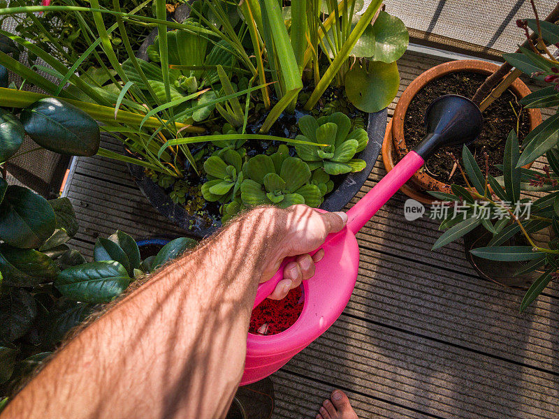 浇水植物的POV