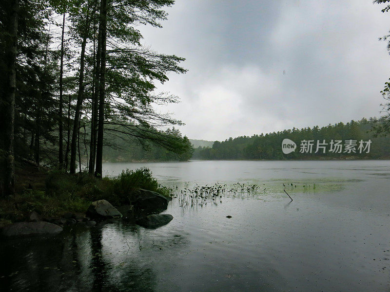 雨水海岸景观，鹤池，阿迪朗达克山，纽约