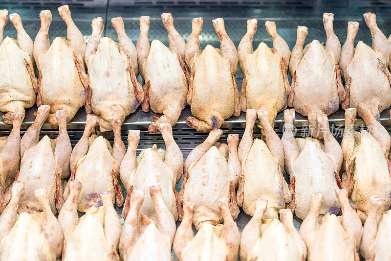 超市橱窗里陈列着一排排新鲜的生家禽。indystry家禽农场。畜牧业价格指数