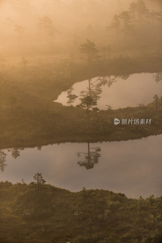 沼泽湖倒影