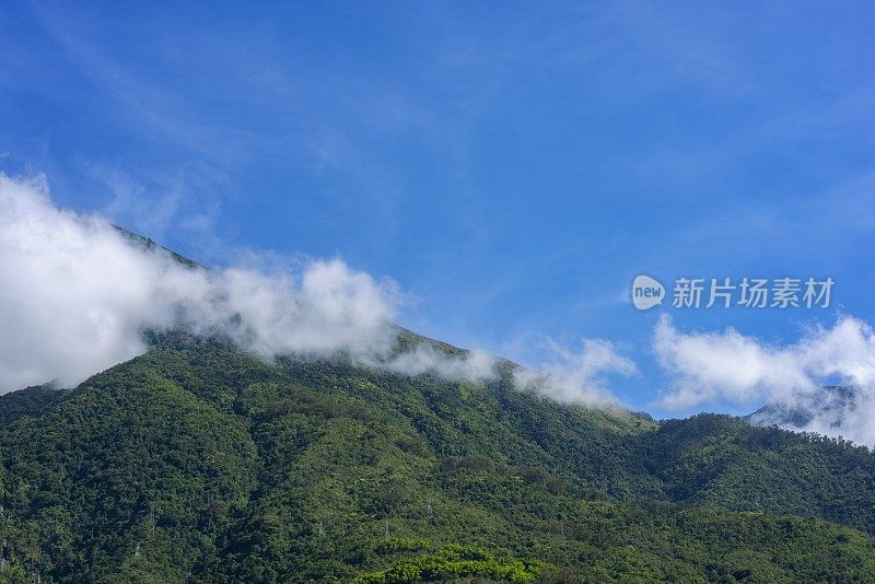 有热带雨林的山