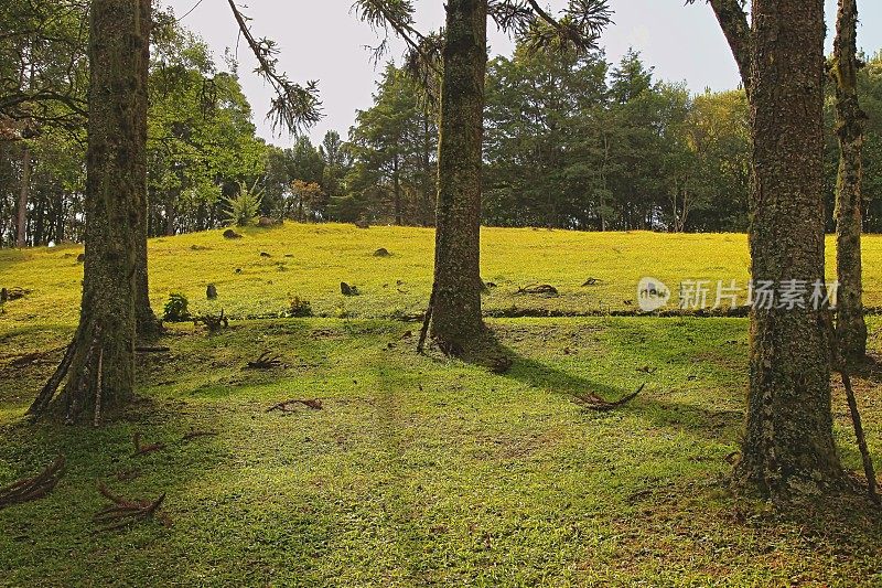 巴西南部格兰德南州格兰多附近的乡村景观