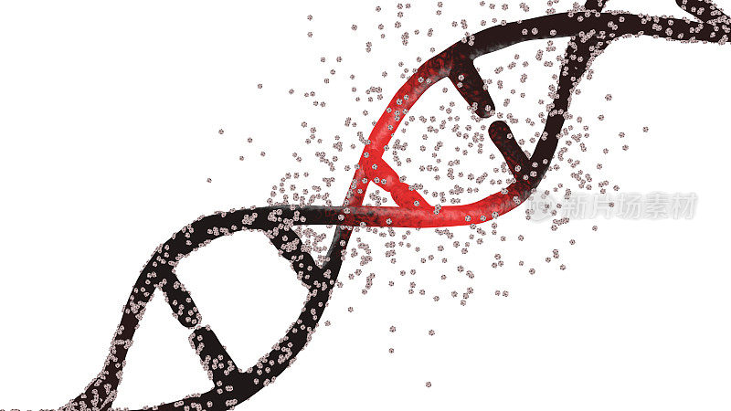 DNA双螺旋变化:突变的DNA进化成在白色背景上分离的正常DNA