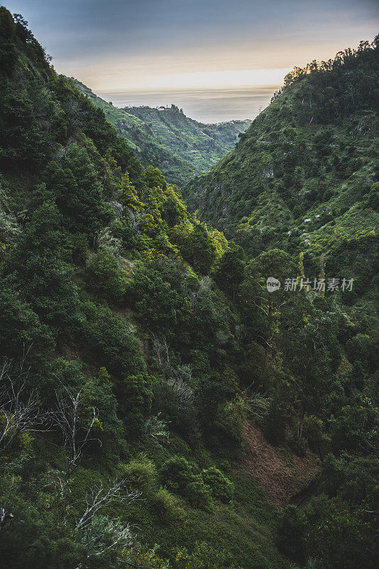 马德拉景观，诺瓦和莫伊尼奥莱瓦达步行