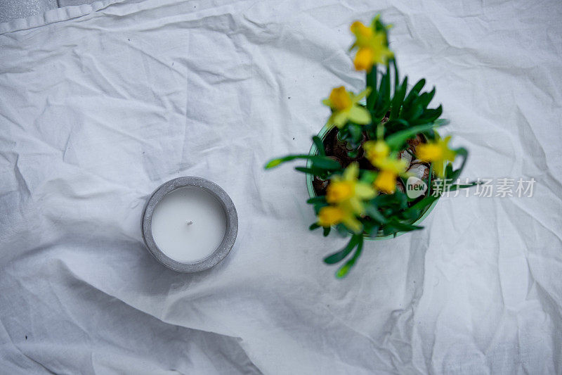 蜡烛与花水仙花在白色的背景。带有复制空间的Spring概念