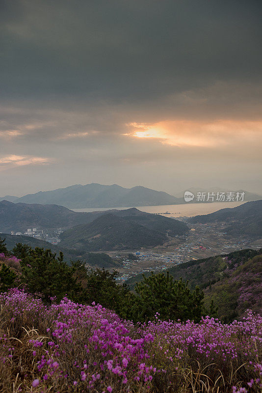 杜鹃花山上日出