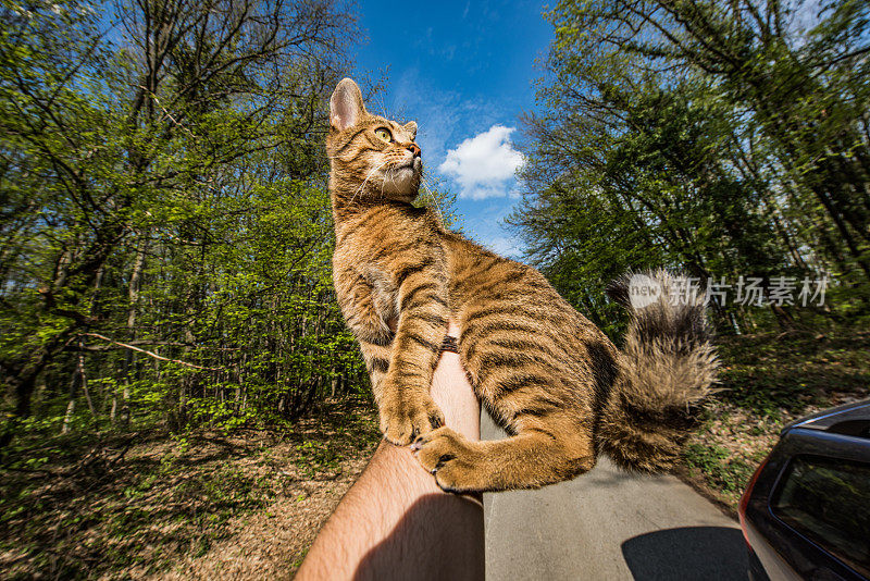 一个面目全非的男人抱着他心爱的猫。