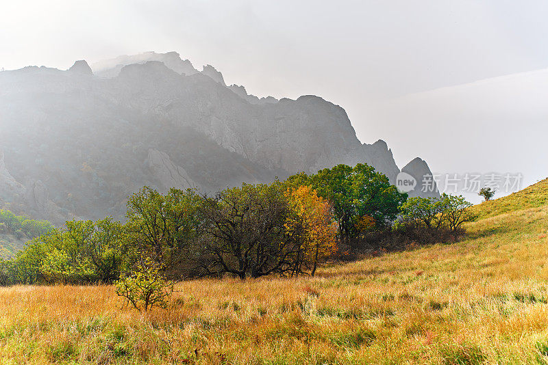 岩石顶部和干燥的树，卡拉达火山，克里米亚海岸，阴沉沉的天空，雾，白色的天空。