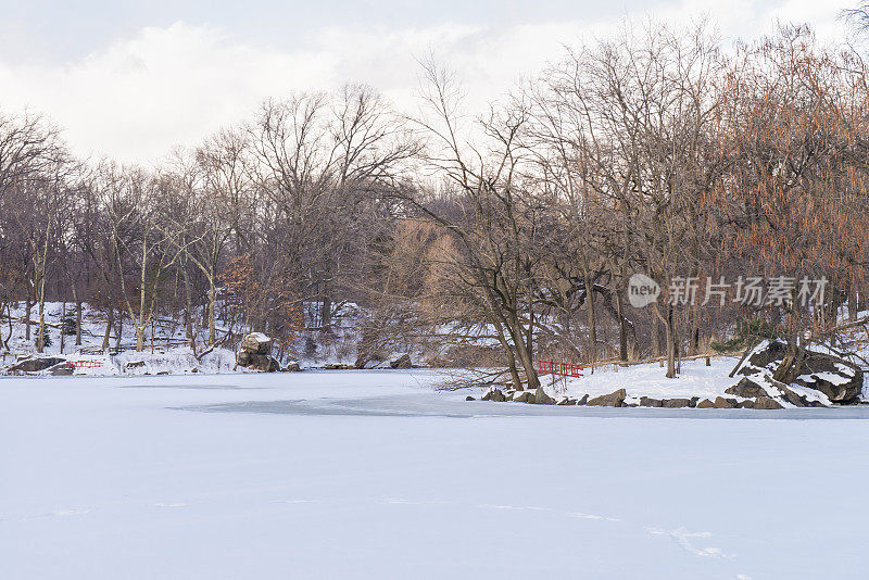 在美国纽约市曼哈顿市中心的冬天，从白雪覆盖的中央公园看到的城市景观，包括一个结冰的池塘。