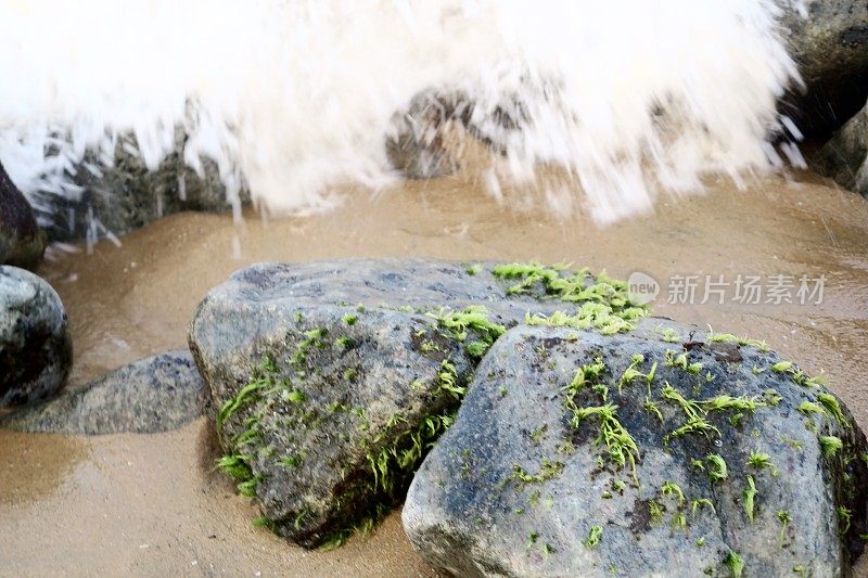 印度南部喀拉拉邦Kollam海滩，海岸岩石与汹涌的海浪，海藻覆盖的巨石