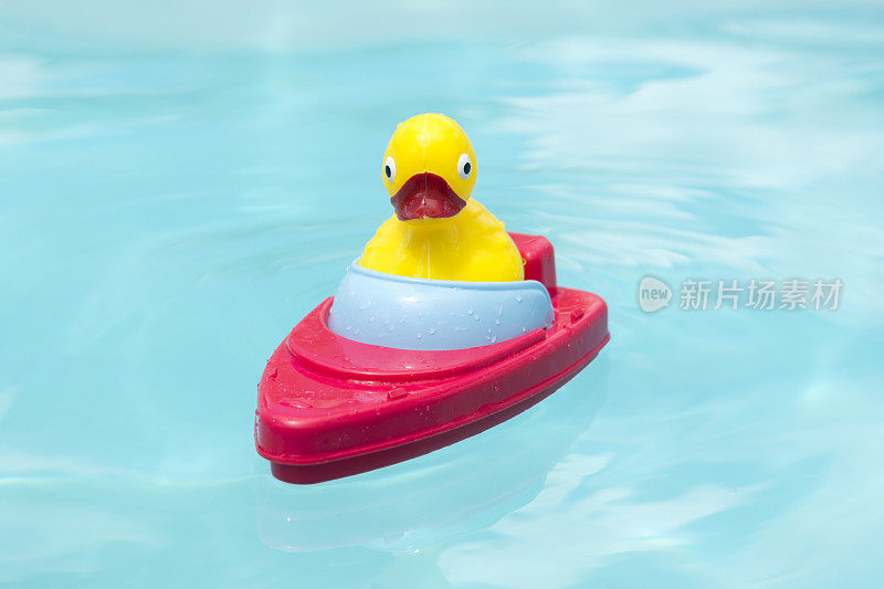 玩具鸭子驾驶着浮在水池中的船