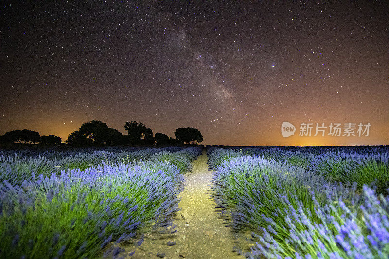 瓜达拉哈拉的薰衣草田夜光绘像——西班牙