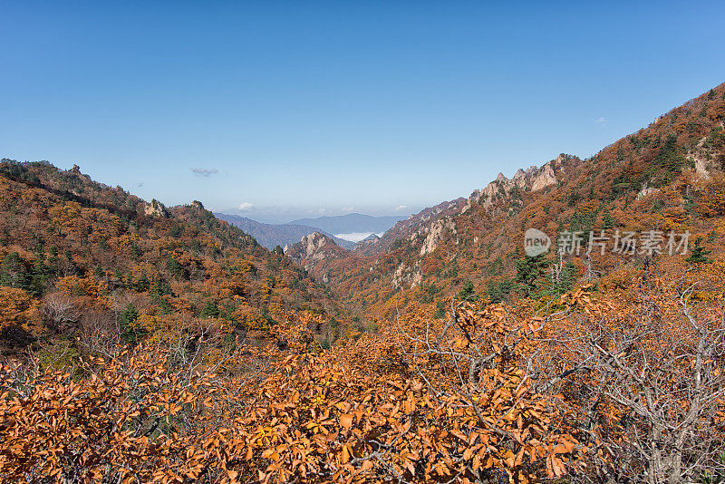 秋雪山国家公园