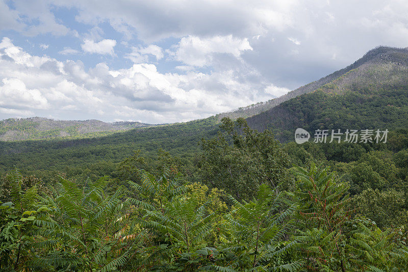 大烟山国家公园