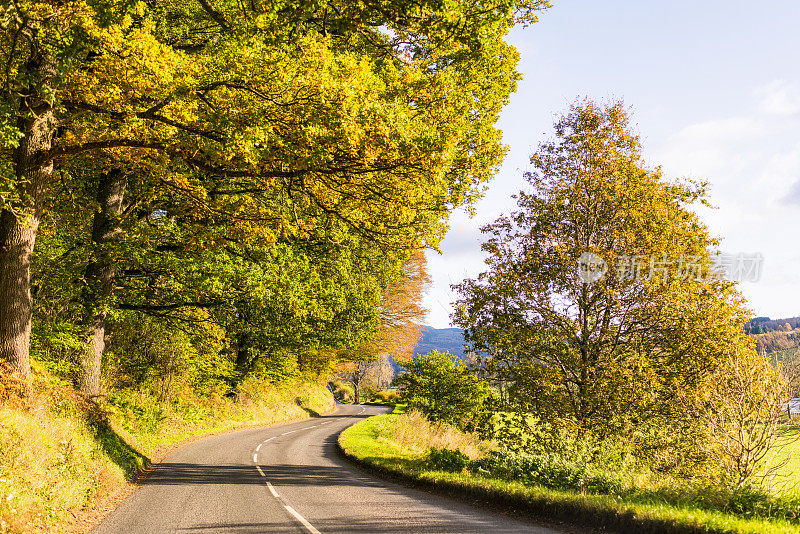 英国夏末的乡村公路