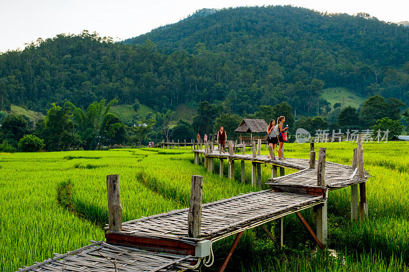 泰国湄洪山派著名的汶古梭竹桥。