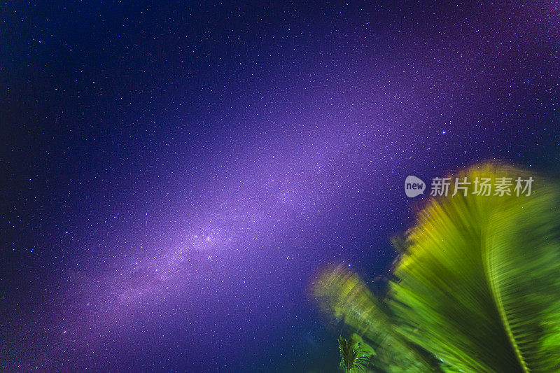 巴西巴伊亚的夜空上的银河和棕榈树-星星景观