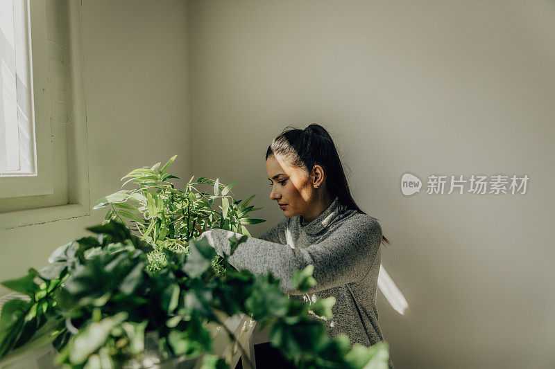 年轻女子独自在家整理植物