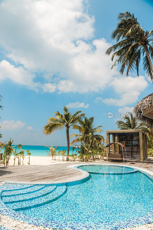 热带海滩游泳池与棕榈树