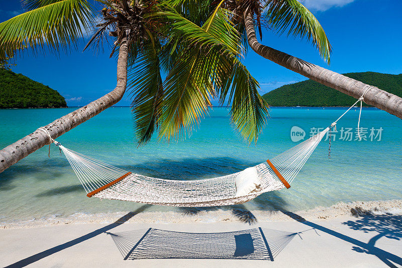 在加勒比海热带海滩上的棕榈树之间的吊床