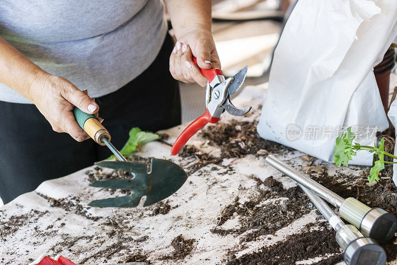 妇女在家里园艺