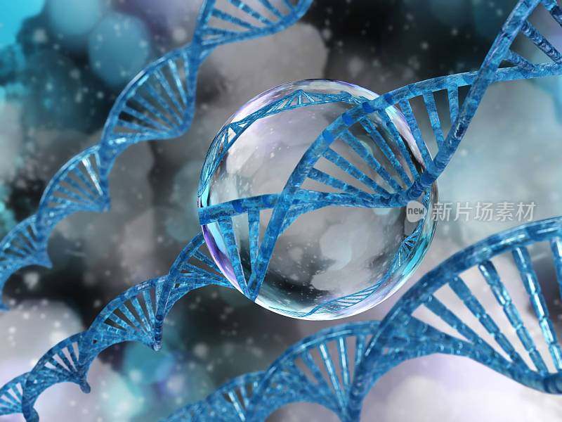 DNA螺旋，人类基因组