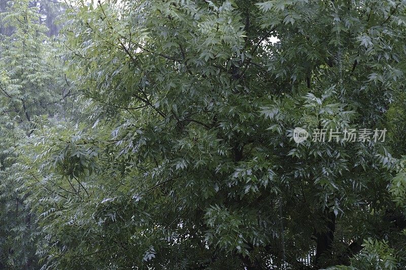 在下雨的一天