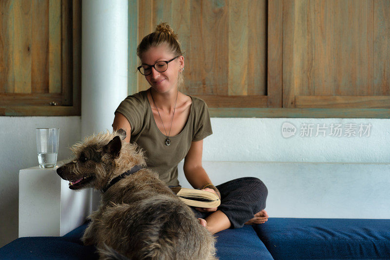 快乐的小猎犬在沙发上被女主人抚摸