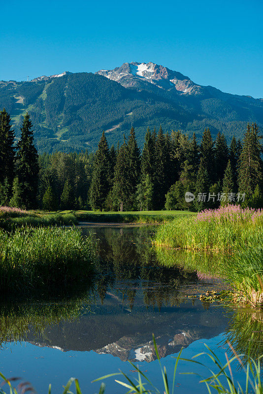 加拿大惠斯勒的夏日美景