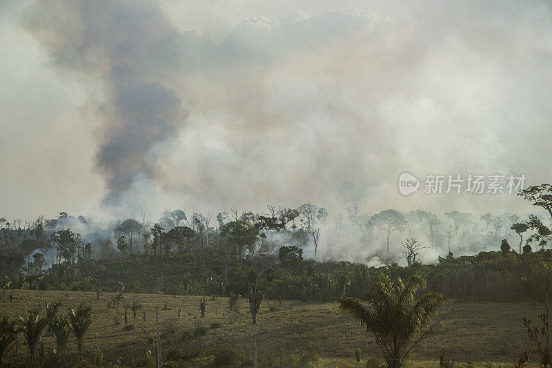 在亚马逊森林中砍伐森林和焚烧农村财产