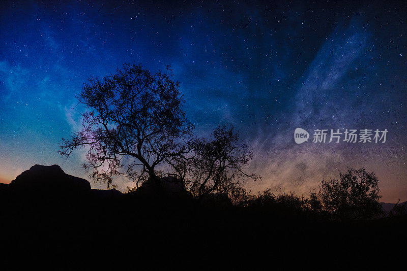 内华达州沙漠的夜景