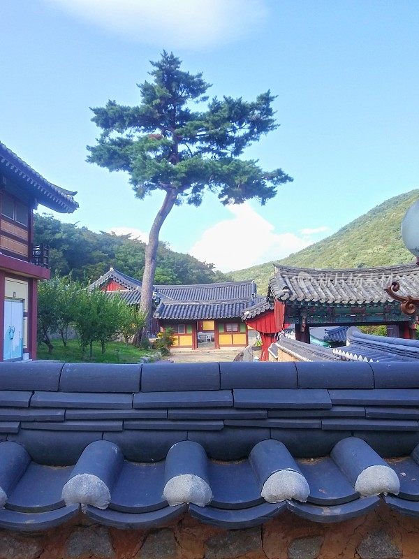 韩国釜山范尾寺的景观