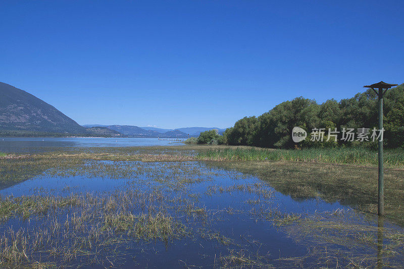 舒斯瓦普湖