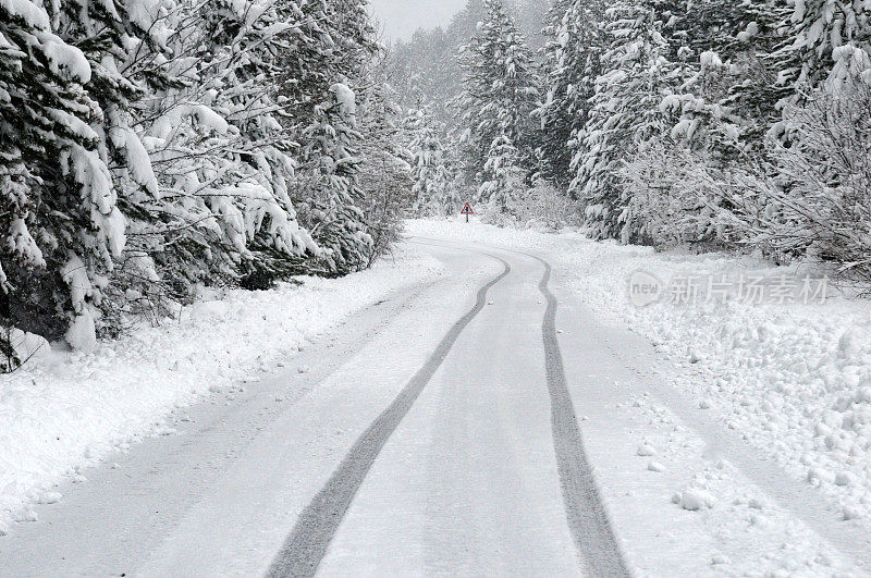 冬天穿过森林的路和积雪覆盖的冷杉树