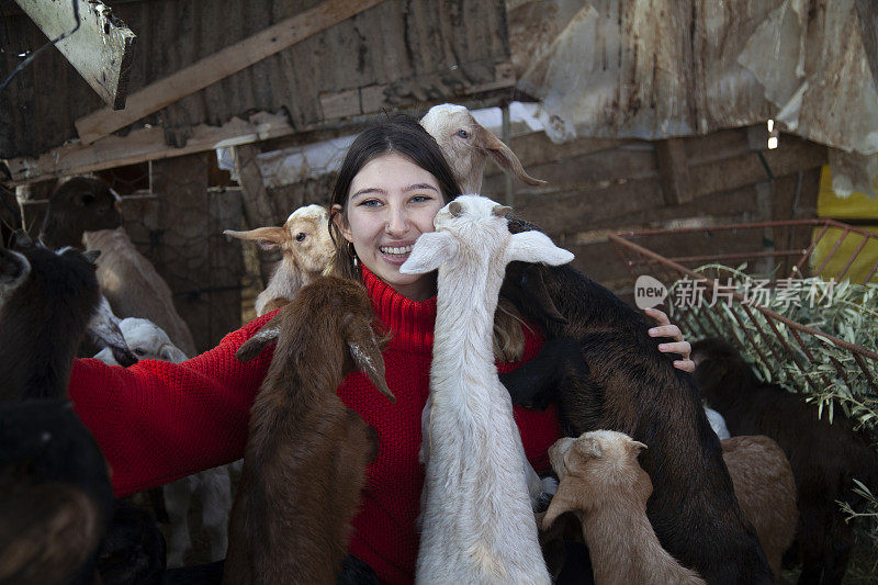 喜欢小山羊的小女孩