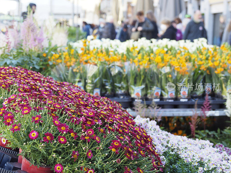 米兰运河上的花卉市场