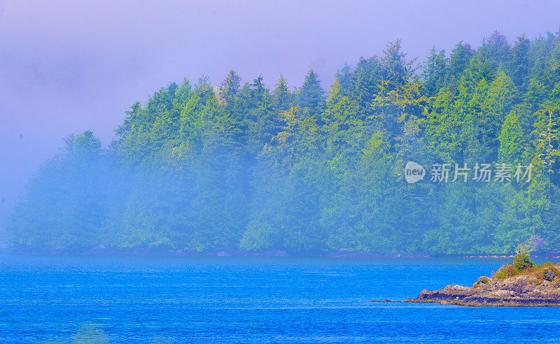 Tofino、加拿大