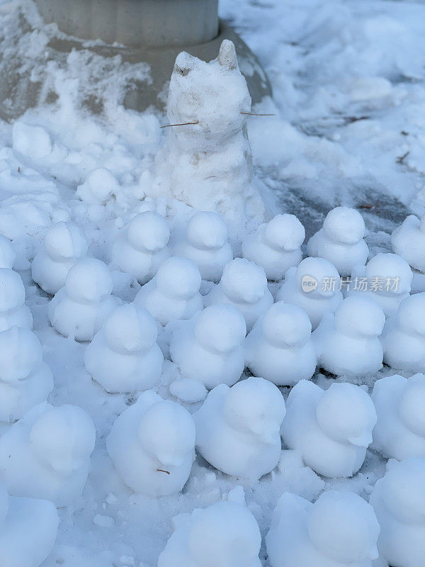 雪猫和雪小鸡