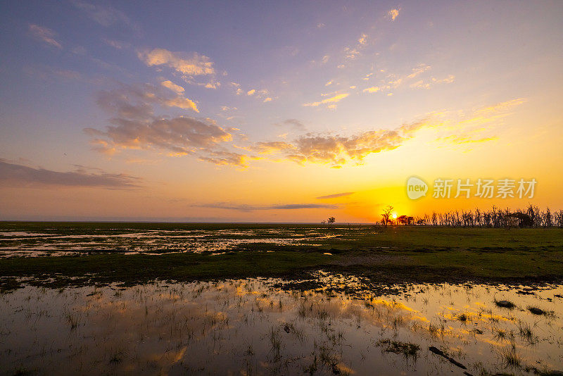 日落时湖泊和绿色景观的风景