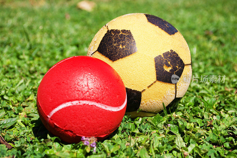 红色迷你玩具板球和黄色泡沫足球在草地上