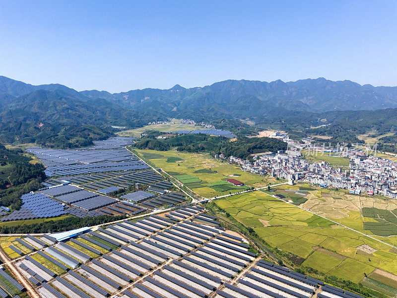 农场太阳能电池板和稻田的鸟瞰图