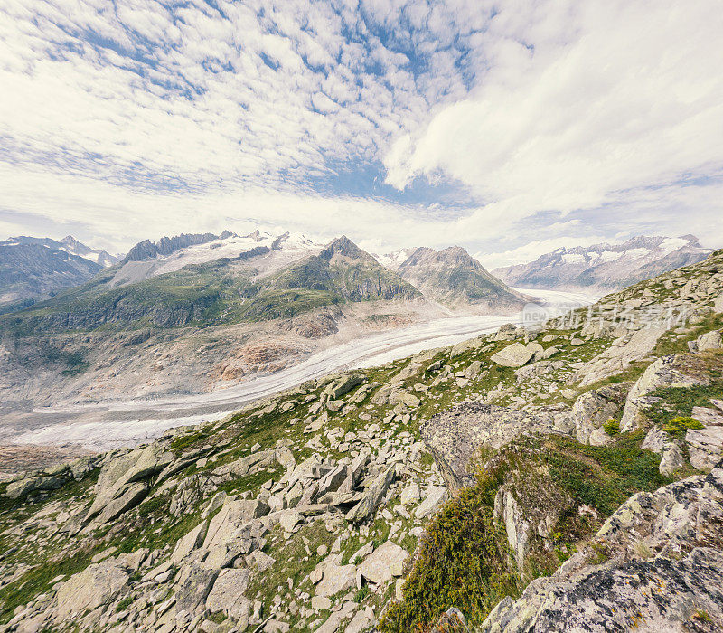 瑞士阿尔卑斯山的阿莱奇冰川