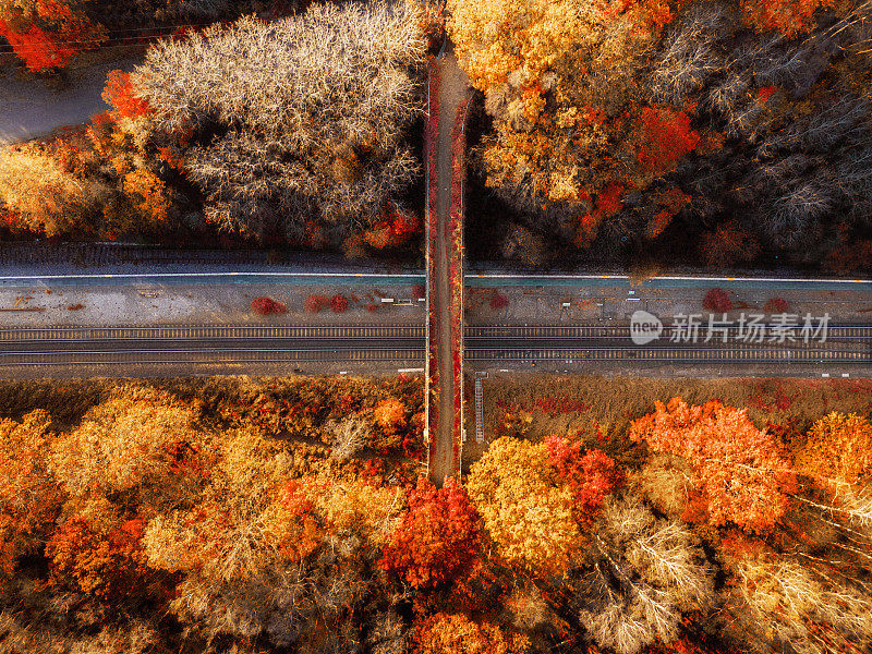 秋季森林景观中的铁路轨道和人行天桥鸟瞰图