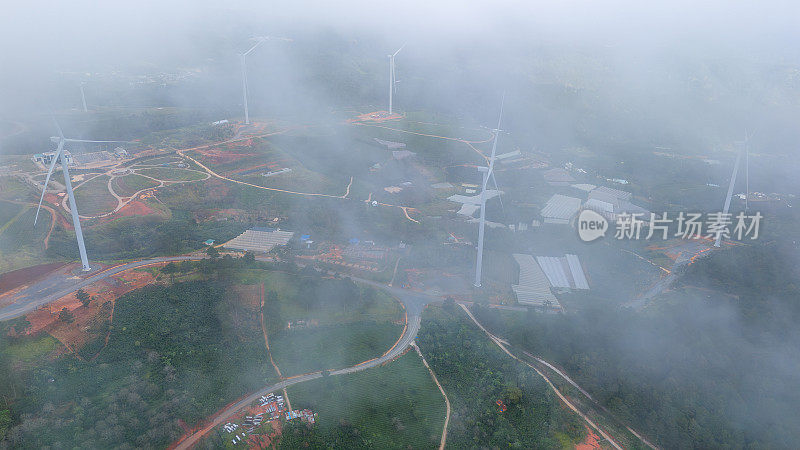 清晨美丽的风景，在大叻市，林东省。风吹茶山上，晨景山坡上茶树下