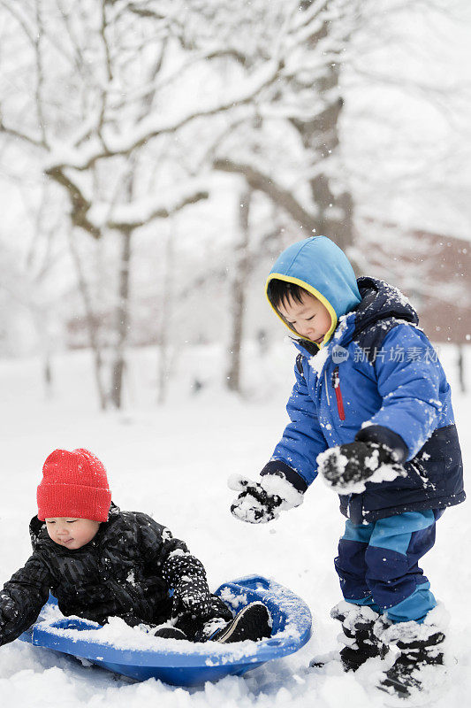 冬天，小男孩在户外的雪地里坐雪橇