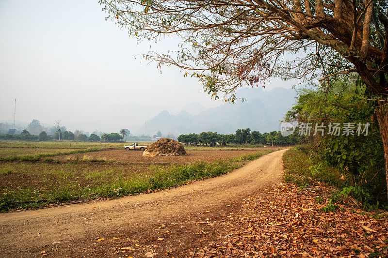 农村地区的土路(乡村路)，可以看到村民的农田。