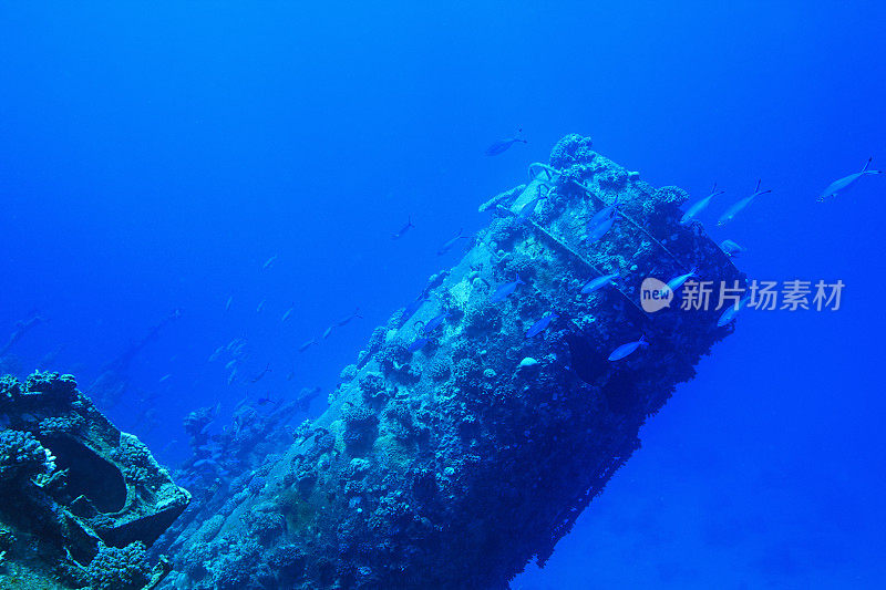 水肺潜水在海难船漏斗沉船潜水红海