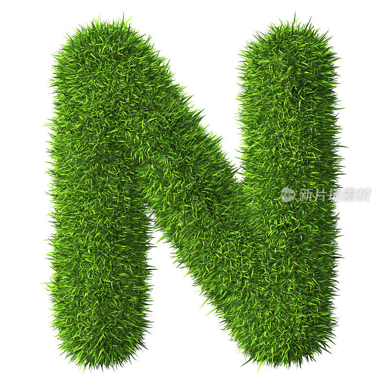 草的字母N