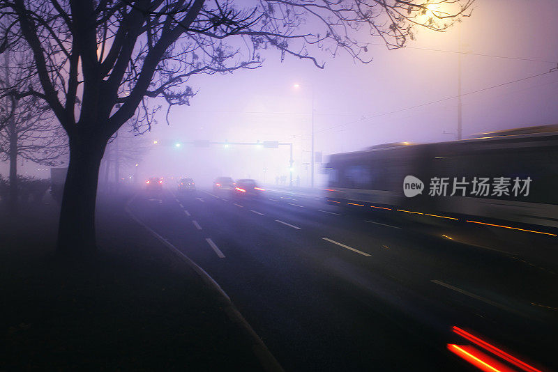 雾中的十字路口